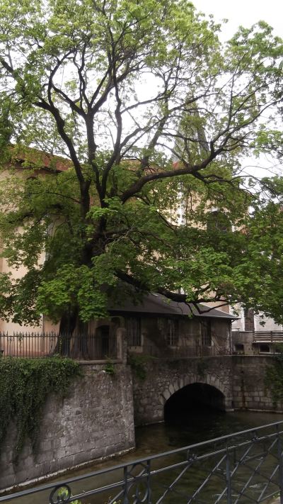 annecy1