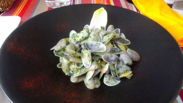 clams