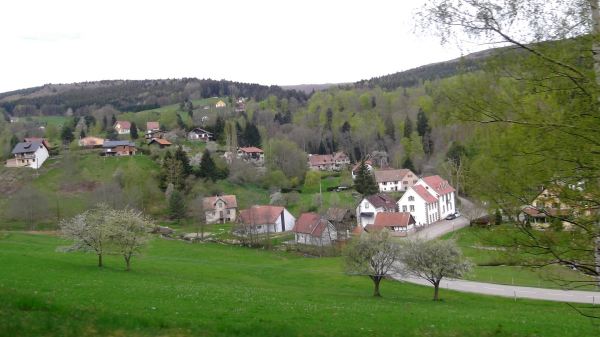 hohwald
