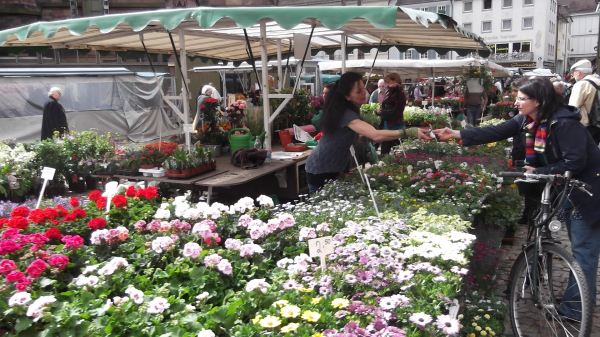 market1