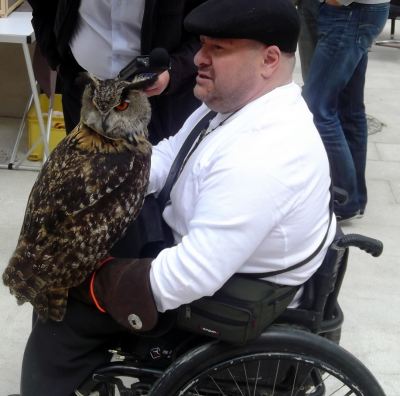owl