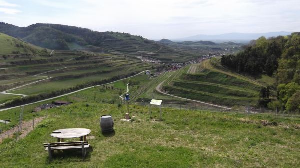 picnicspot