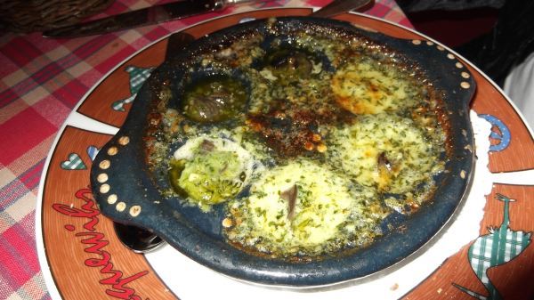 snails