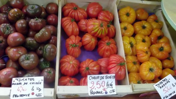 tomato