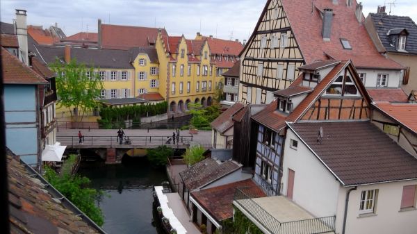 view